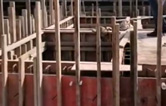 林頓全自動(dòng)洗車機(jī)與客戶上下密切協(xié)作！兩套全自動(dòng)洗車機(jī)設(shè)備水池（隧道機(jī)基礎(chǔ)）現(xiàn)已施工完畢